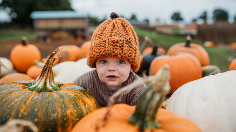 Pumpkin Collection