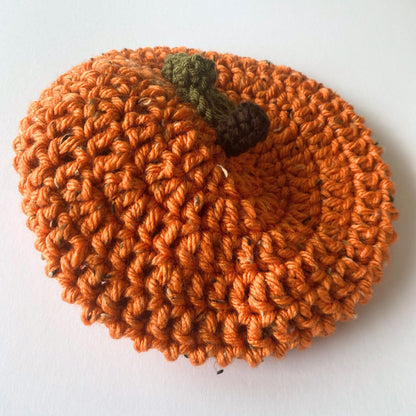 Pumpkin Beret hat with leaf and stalk