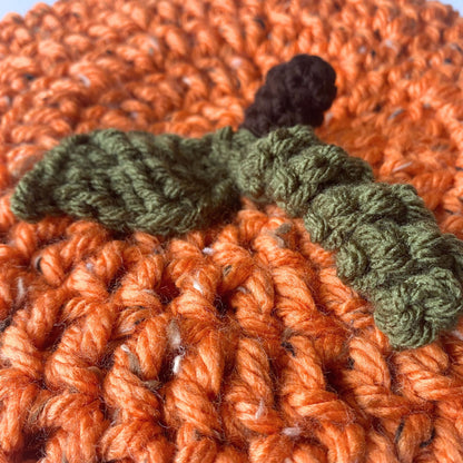 Pumpkin Beret hat with leaf and stalk