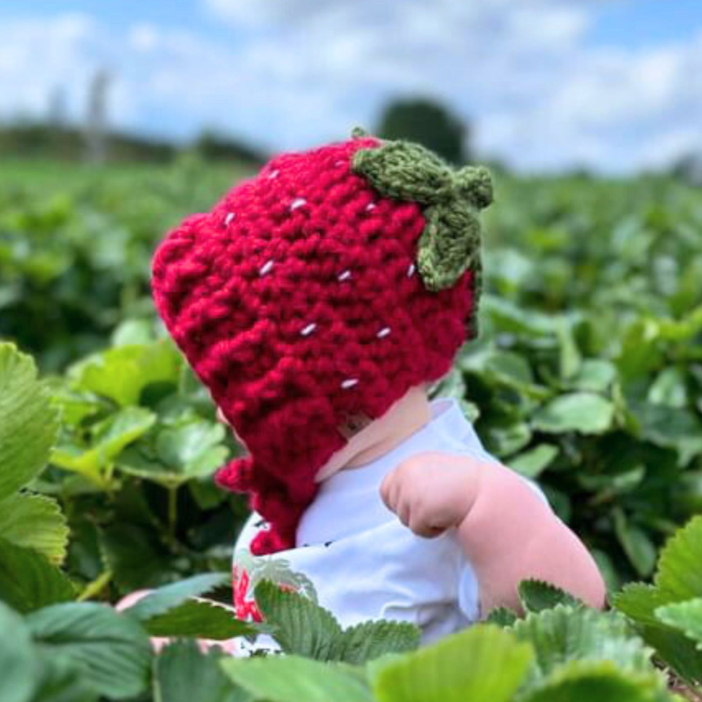 Strawberry bonnet round