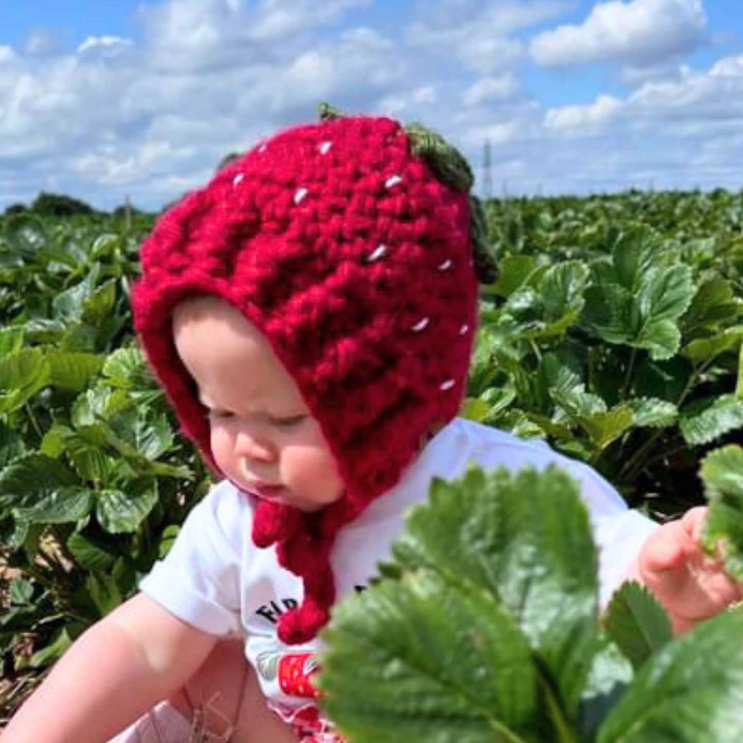 Strawberry bonnet round