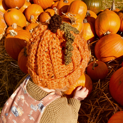 Pumpkin beanie hat with leaf and stalk