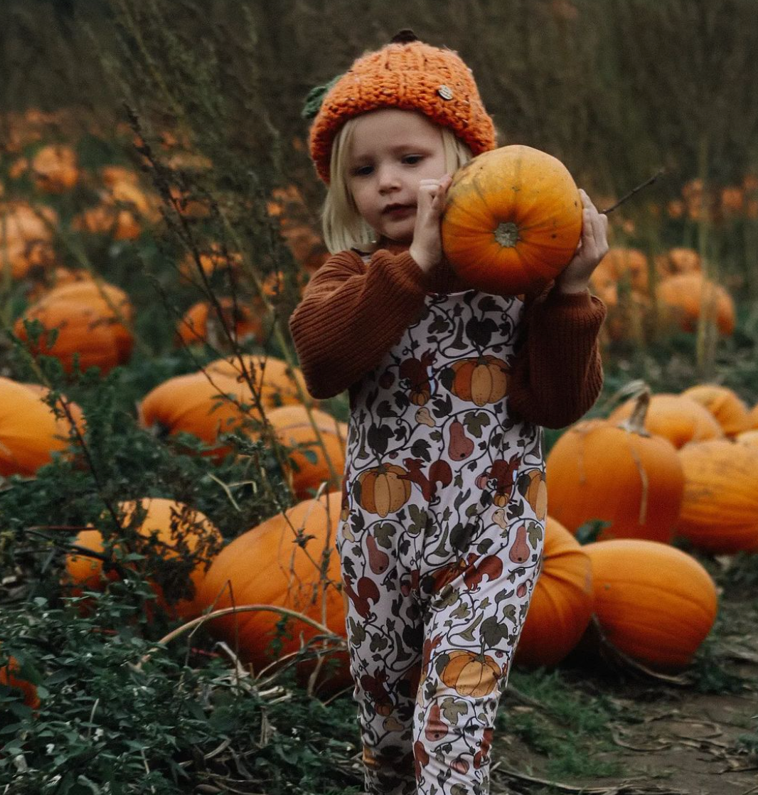 Pumpkin beanie hat with leaf and stalk